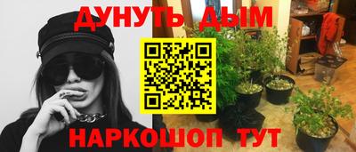 индика Краснодар