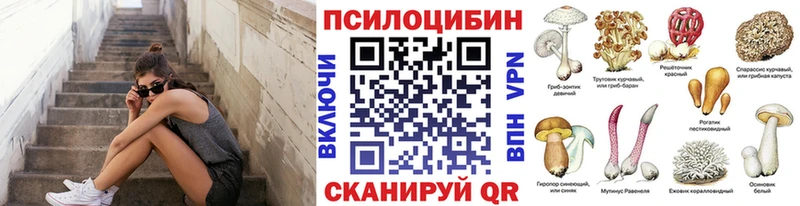 Псилоцибиновые грибы Magic Shrooms  площадка какой сайт  Дальнегорск 