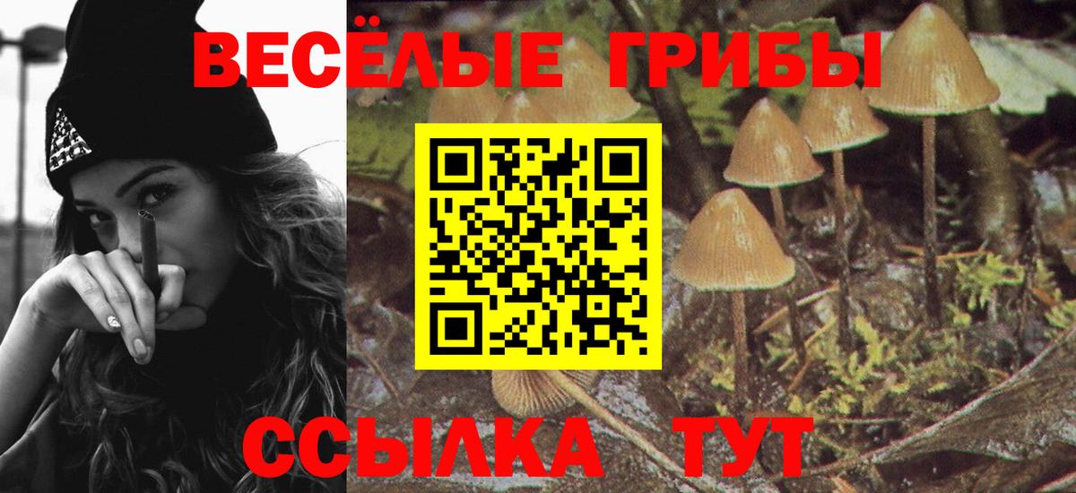 МЕФ Дальнегорск