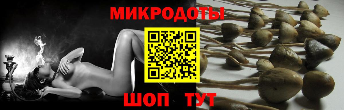 Галлюциногенные грибы мицелий  Вход с VPN  Дальнегорск 